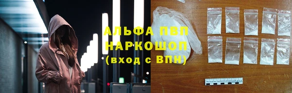 гашик Белокуриха
