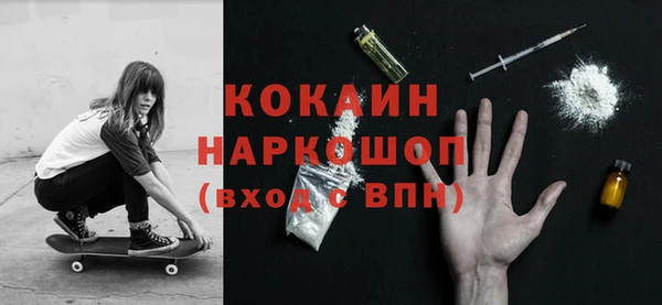 гашик Белокуриха