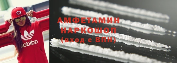 гашик Белокуриха