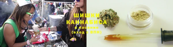 гашик Белокуриха