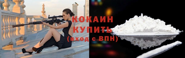 гашик Белокуриха