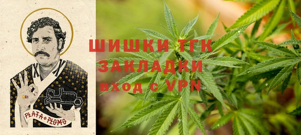 гашик Белокуриха