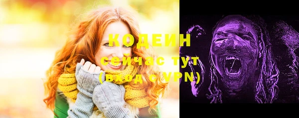 гашик Белокуриха